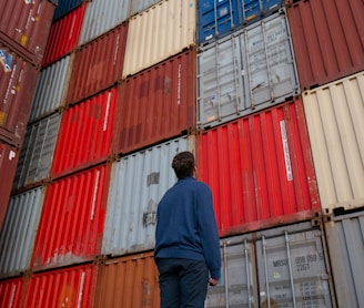 man in blue long sleeve shirt standing in front of red and blue intermodal containers