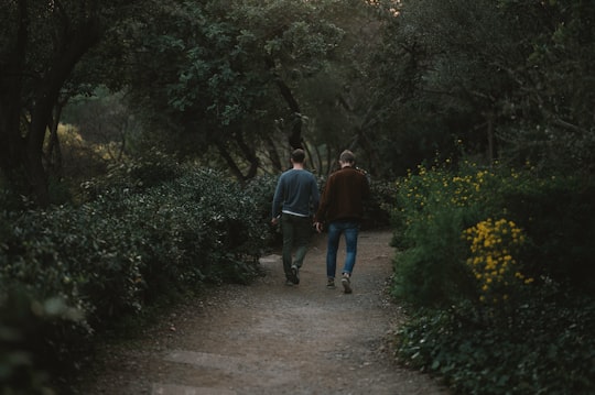 people walking on pathway between green trees during daytime in Park Güell Spain