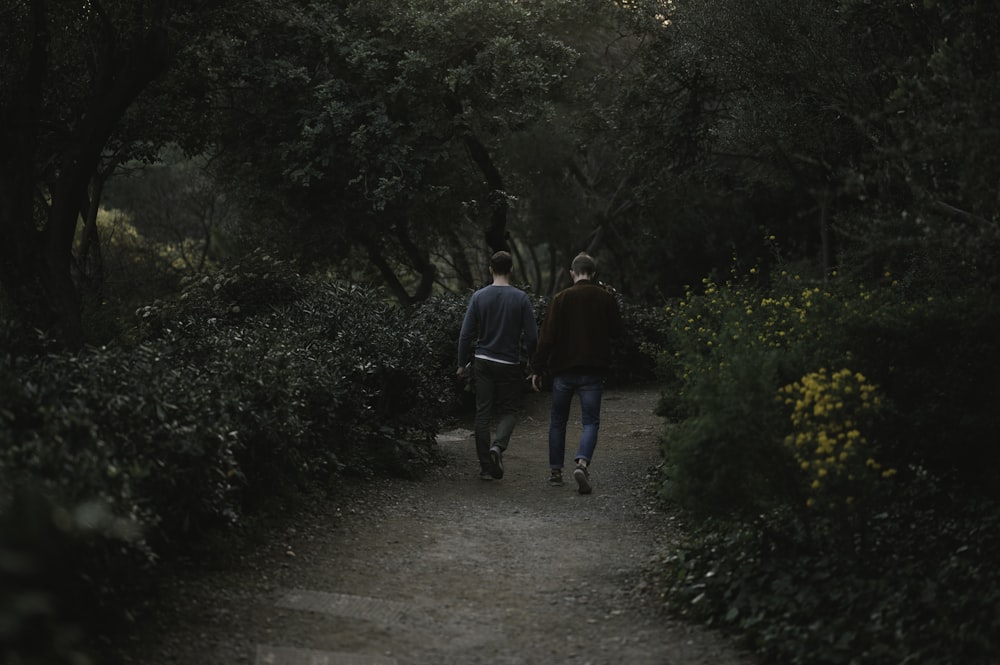 people walking on pathway between green trees during daytime