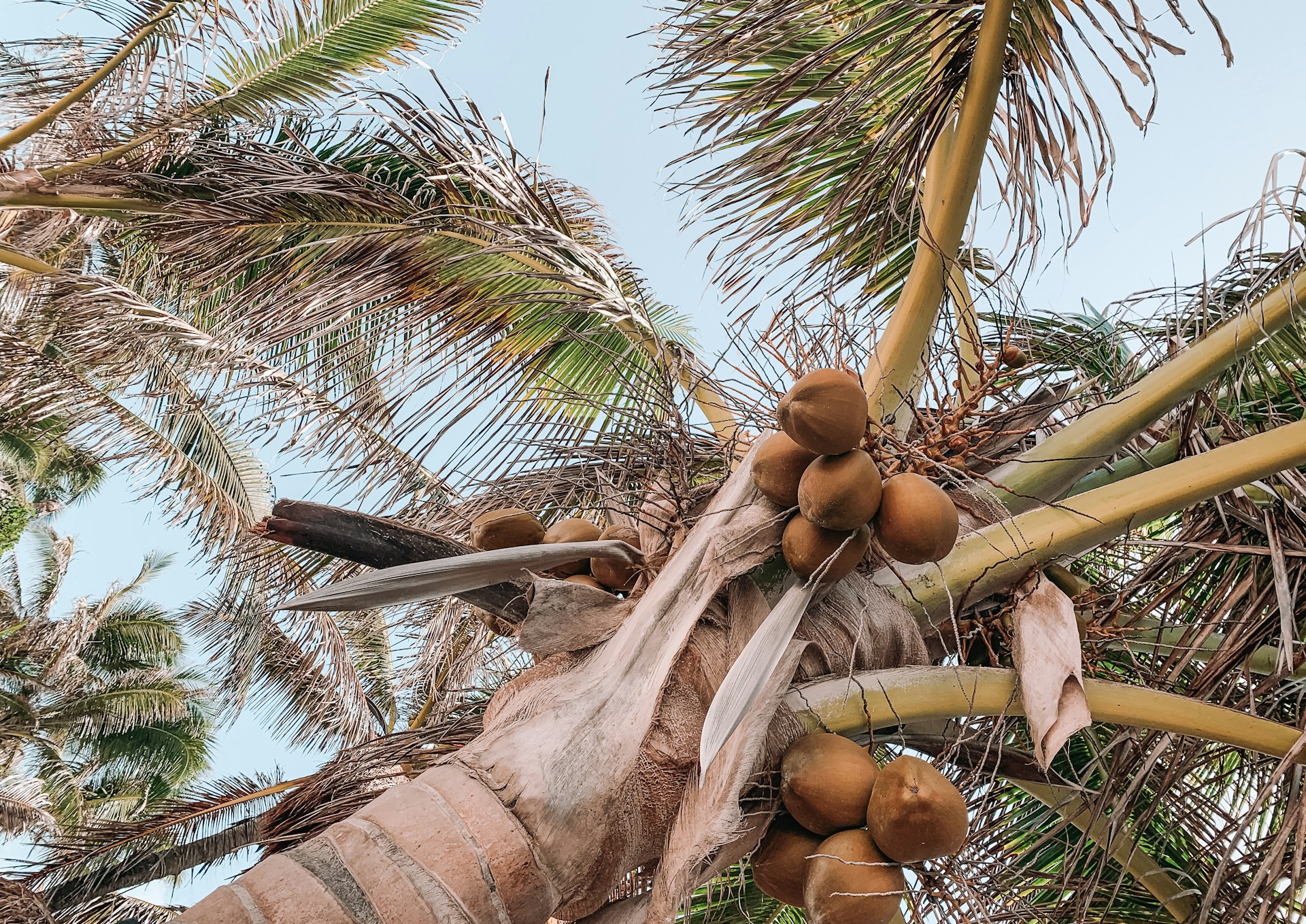 woman wearing yellow long-sleeved dress under white clouds and blue sky during daytime