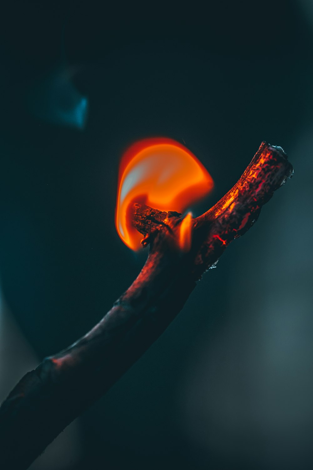 fire in close up photography