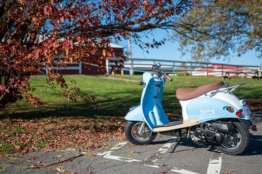 blue and white motor scooter parked on green grass field during daytime