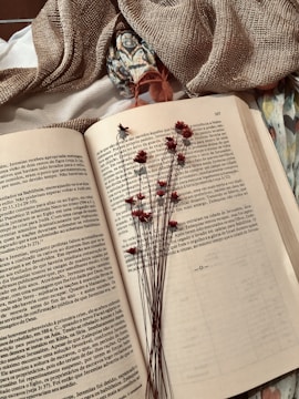 white book page with black and red pen