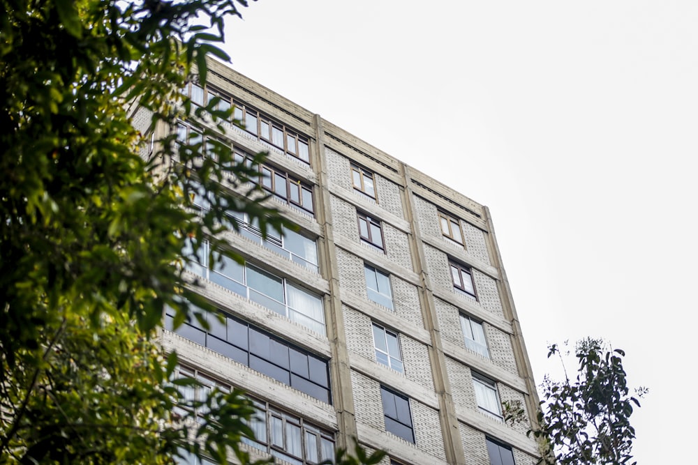 edifício de concreto branco durante o dia