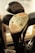 Several vintage golf clubs with wooden heads are positioned close together, showcasing their aged textures and metallic components. The central club features identifiable markings and screws, with sunlight casting a warm glow over the scene.