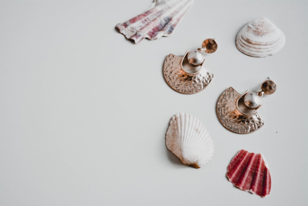 white and brown seashell on white surface