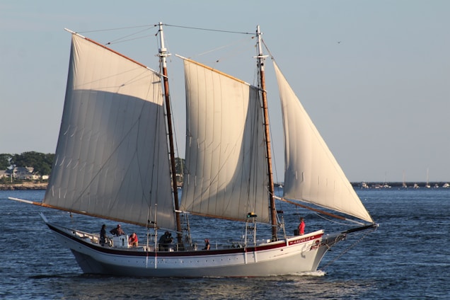 A large sailing ship with two tall masts and billowing white sails glides smoothly across the water. Several people can be seen on deck, wearing casual clothing. The backdrop includes a distant shoreline with trees and a few houses under a clear blue sky. The overall scene suggests a serene day at sea.