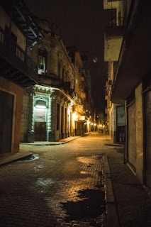 A dimly lit cobblestone street with vintage lampposts at night.