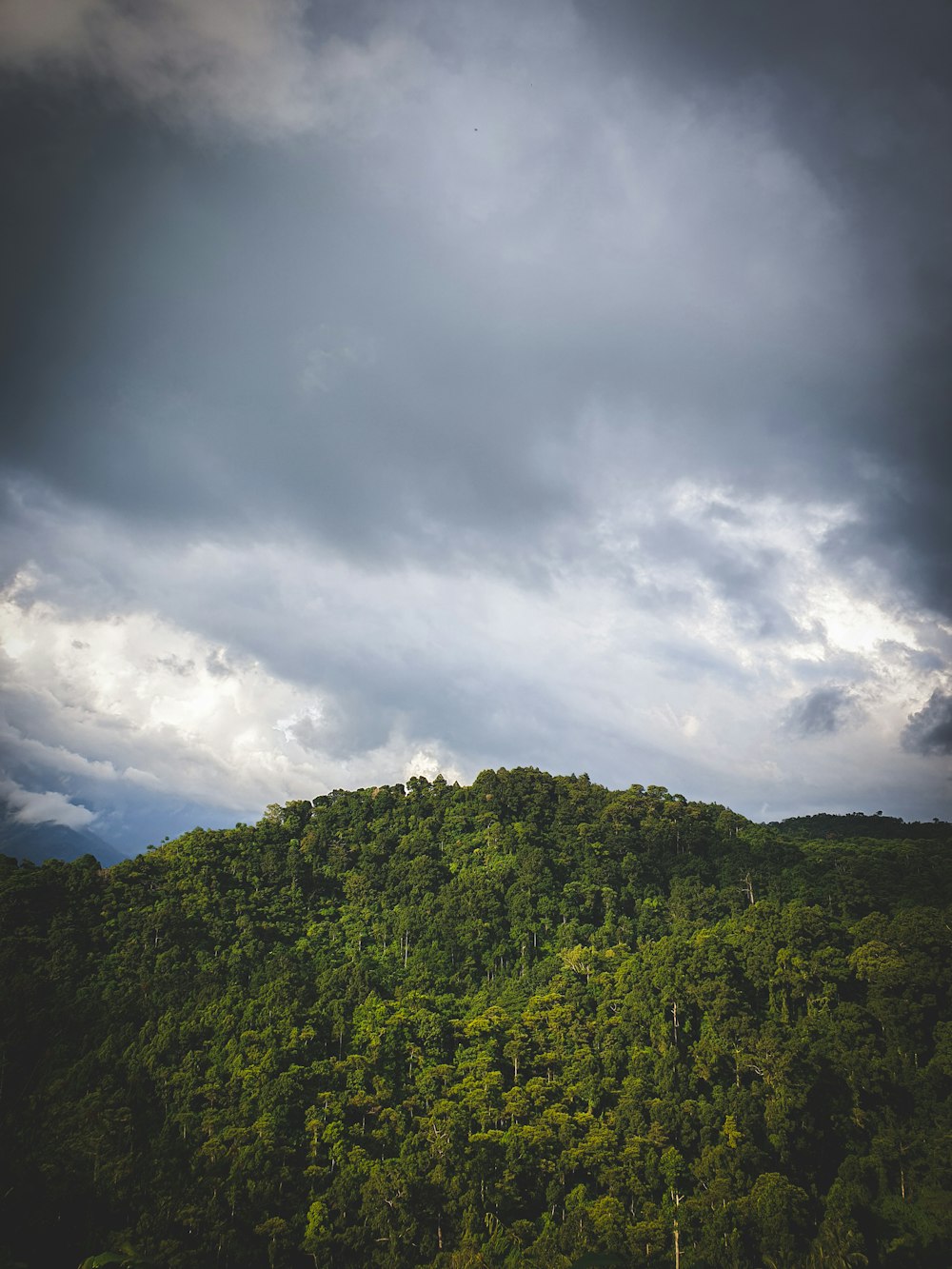 green trees on mountain under cloudy sky during daytime