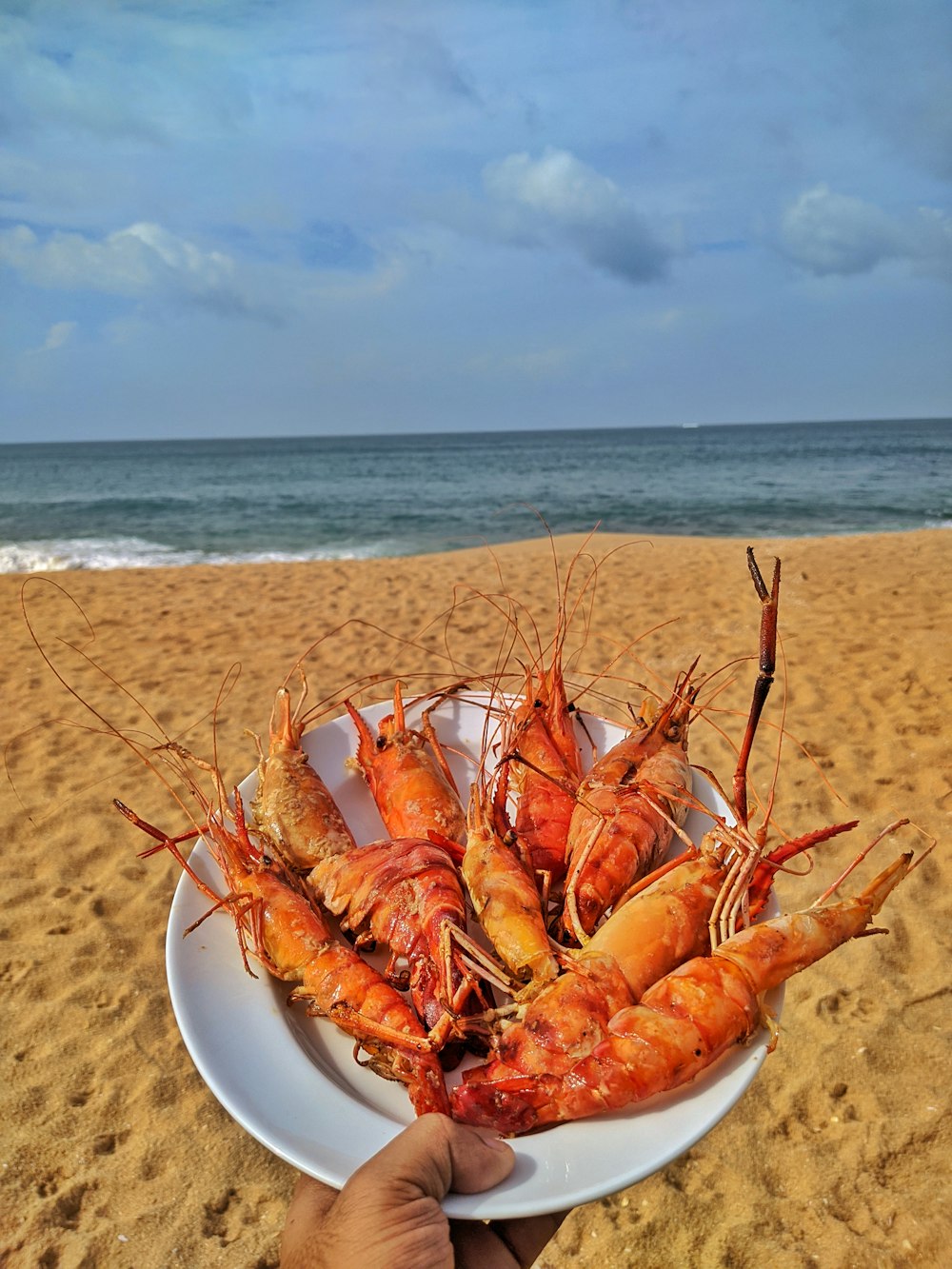 lagosta vermelha no prato branco na praia durante o dia