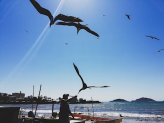 people standing on beach shore during daytime