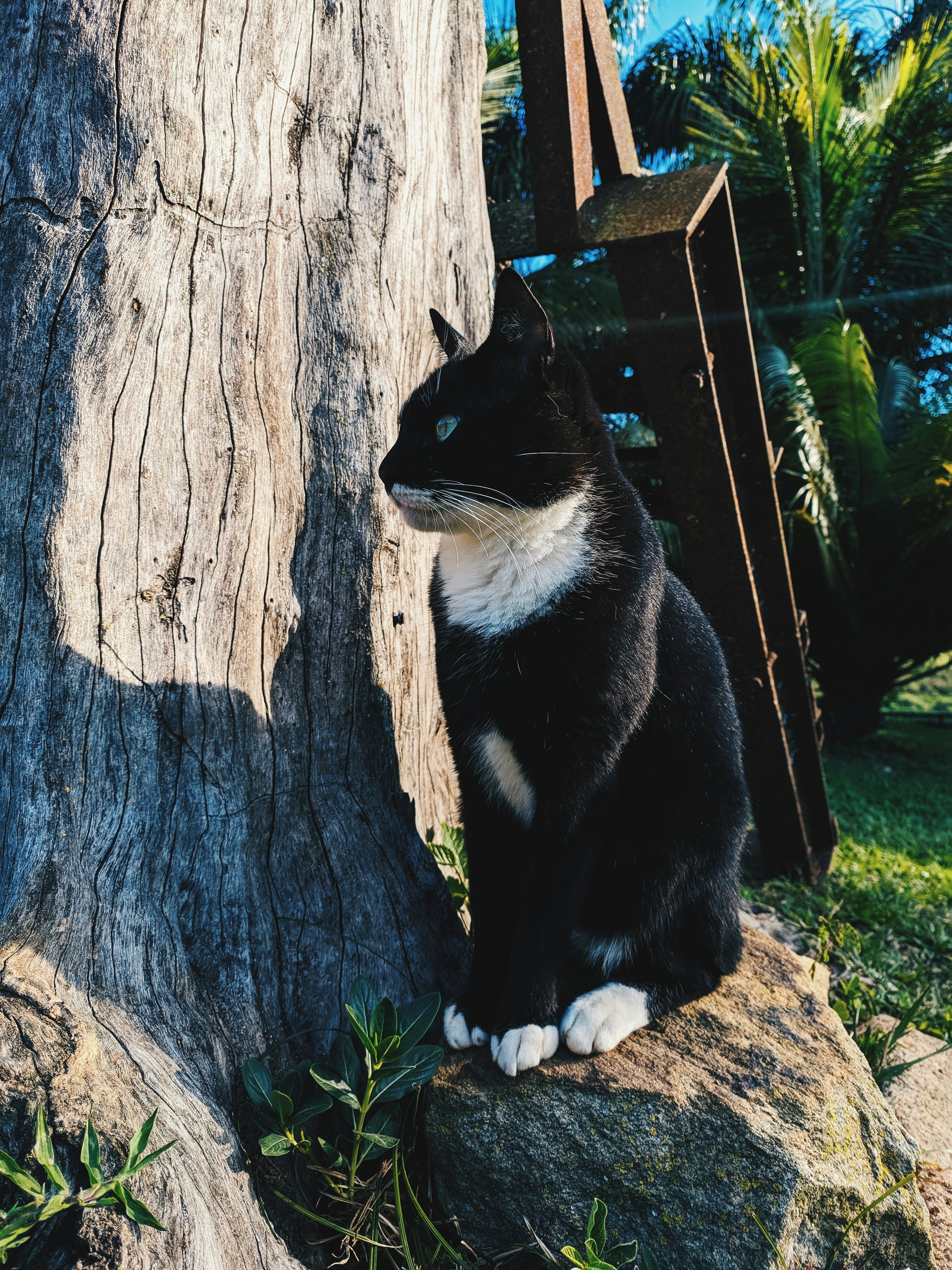 Photo by cassianosabino