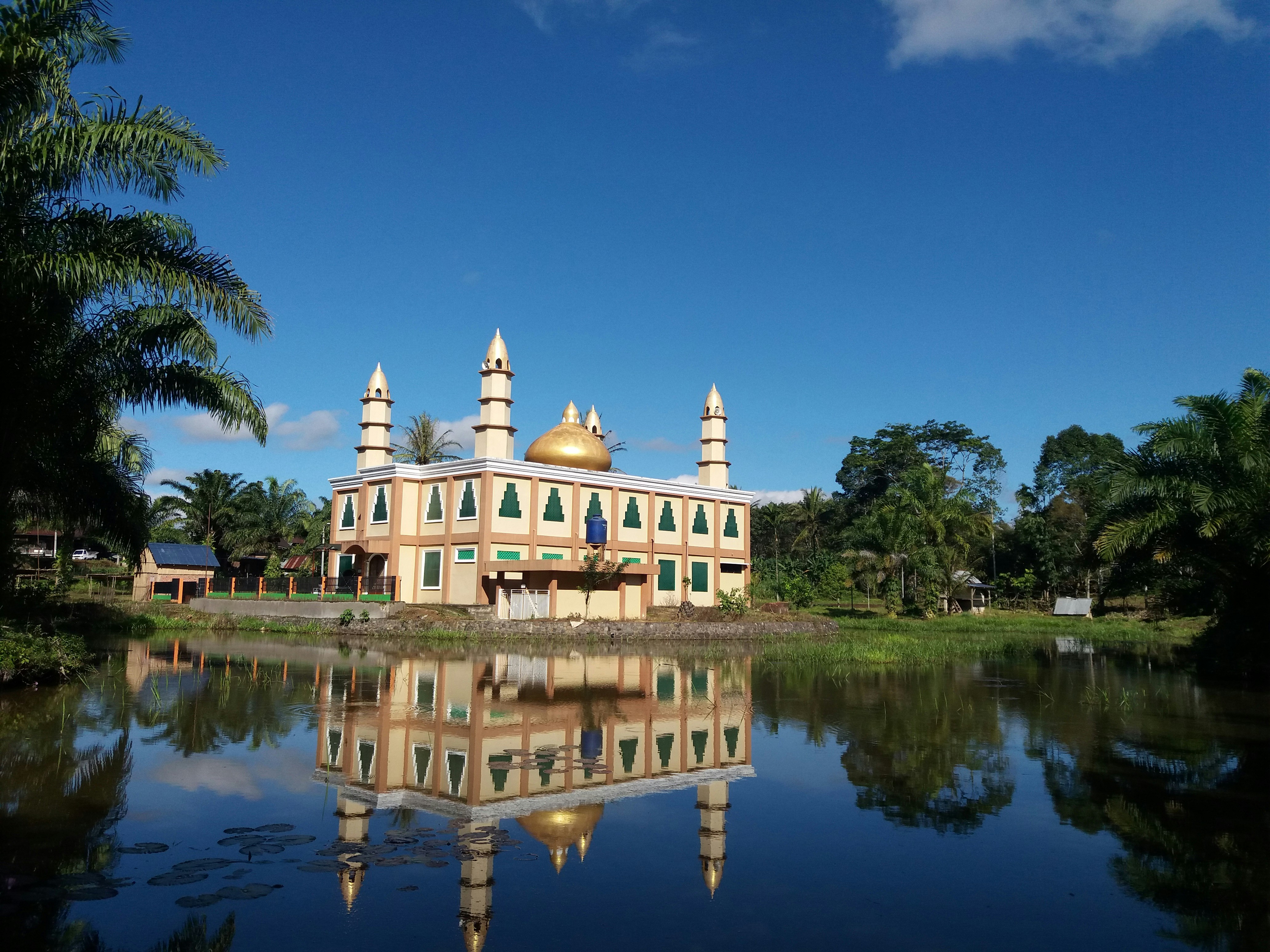 Suriname - Things to Do in Suriname