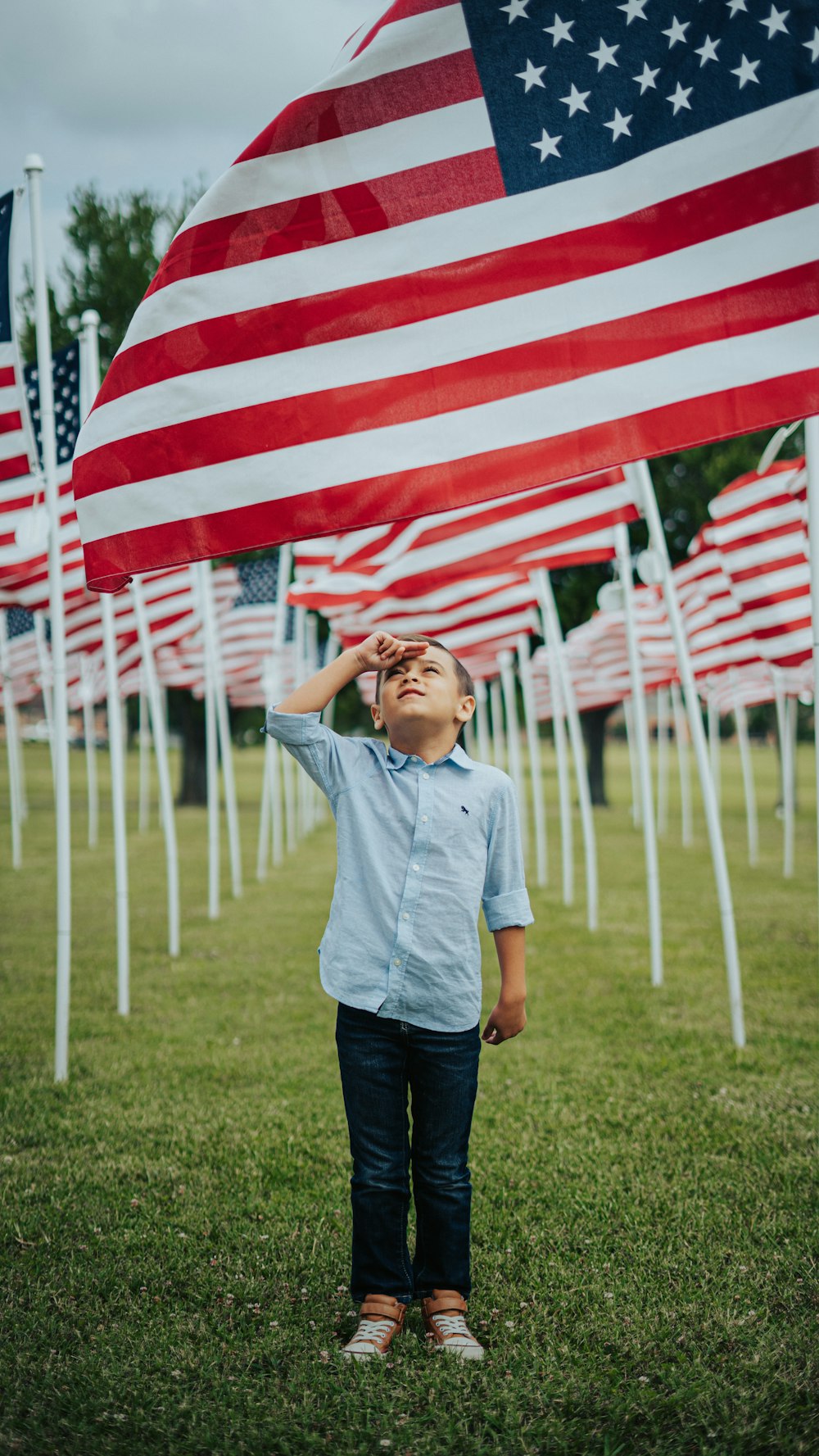 Stars And Stripes Pictures  Download Free Images on Unsplash