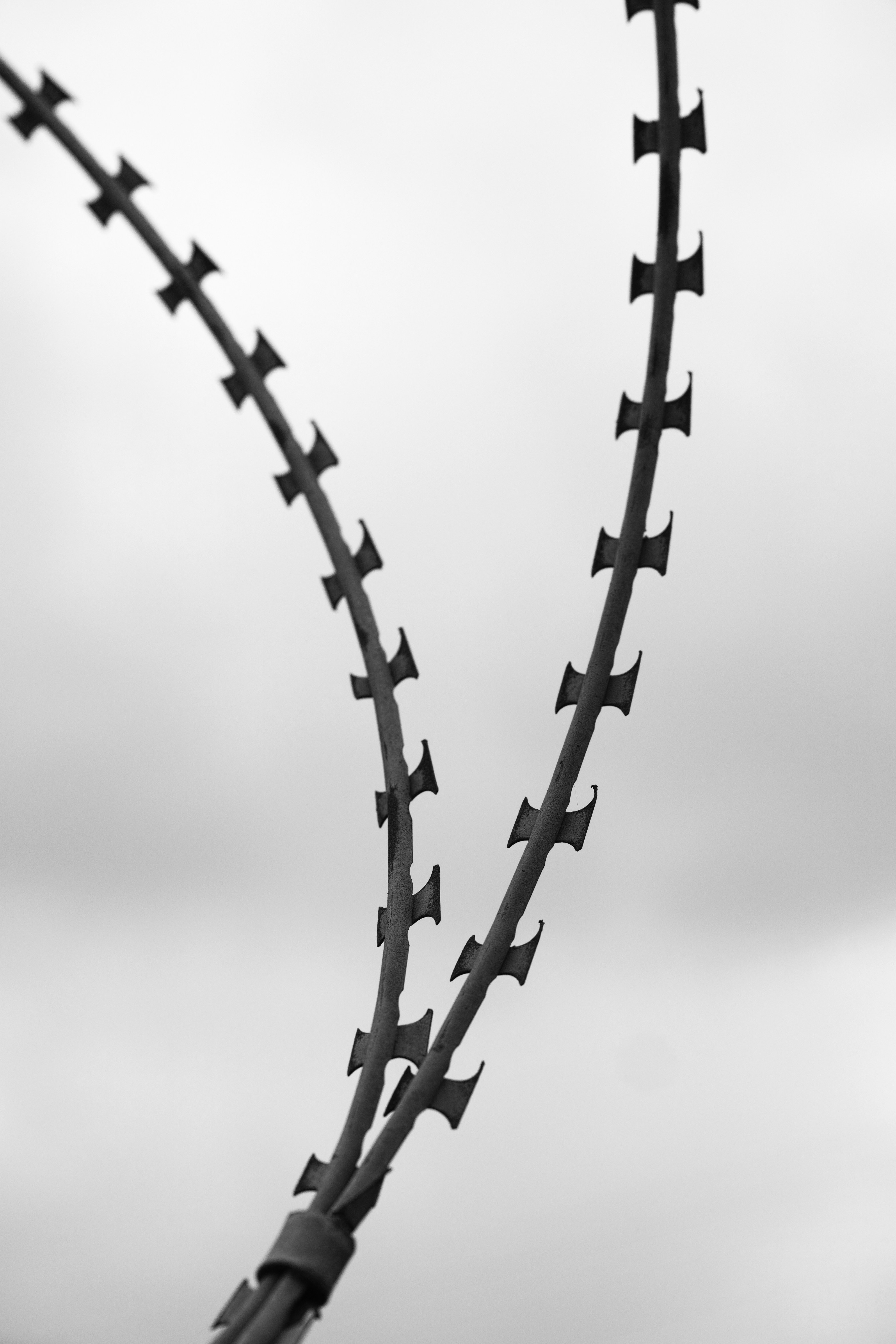 photo-1592978677667-a95cb681000a?ixid=M3wxMjA3fDB8MXxzZWFyY2h8MTF8fGxpbmslMjBwZWRvcGlsfGVufDB8fHx8MTc1ODQzMDY1OHww\u0026ixlib=rb-4.1.0