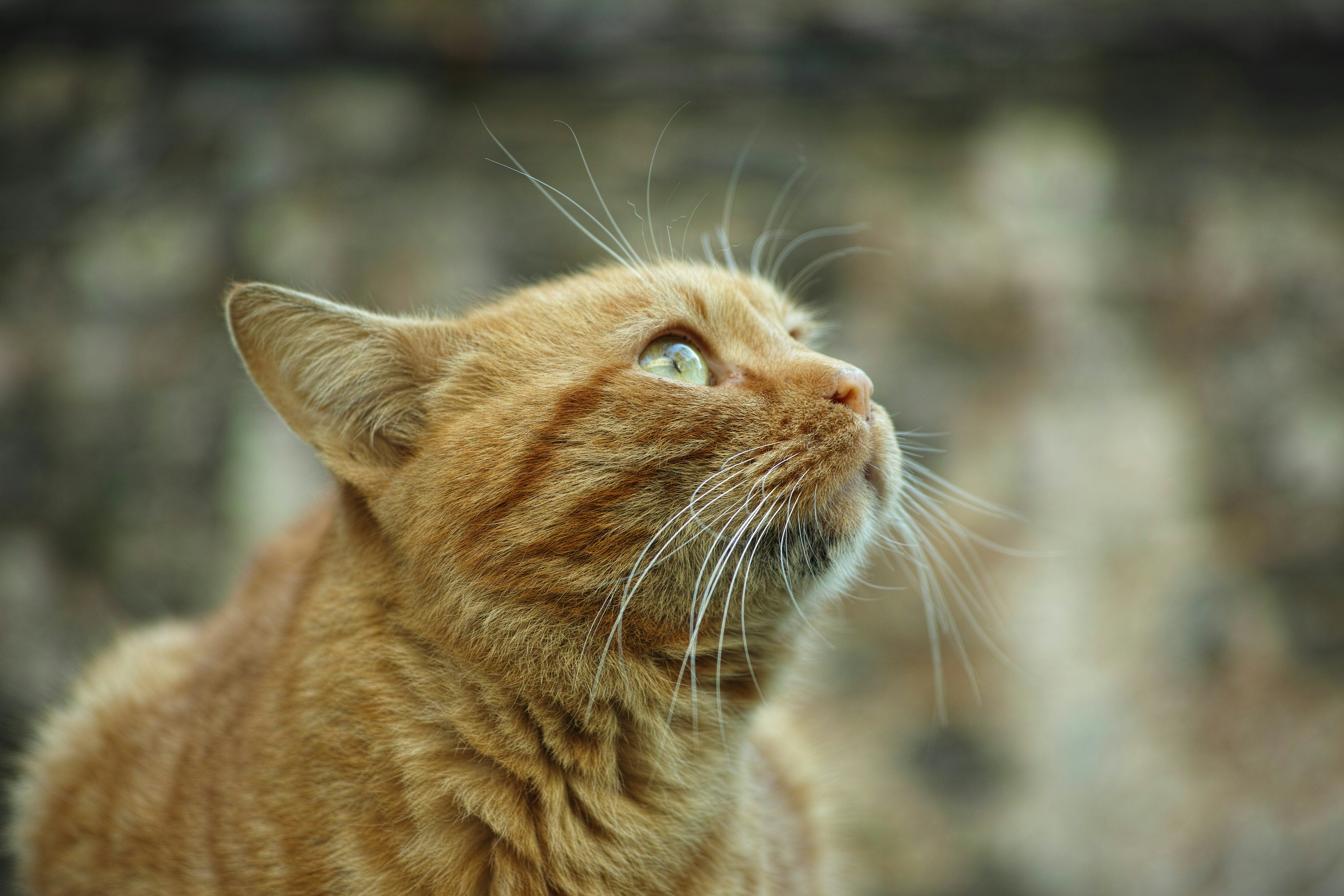 Photo by enginakyurt