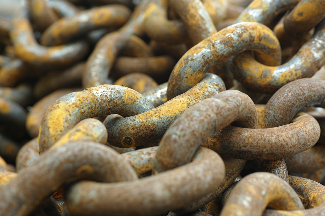 blue and brown chain link fence