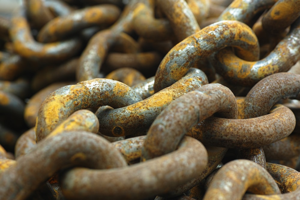 blue and brown chain link fence