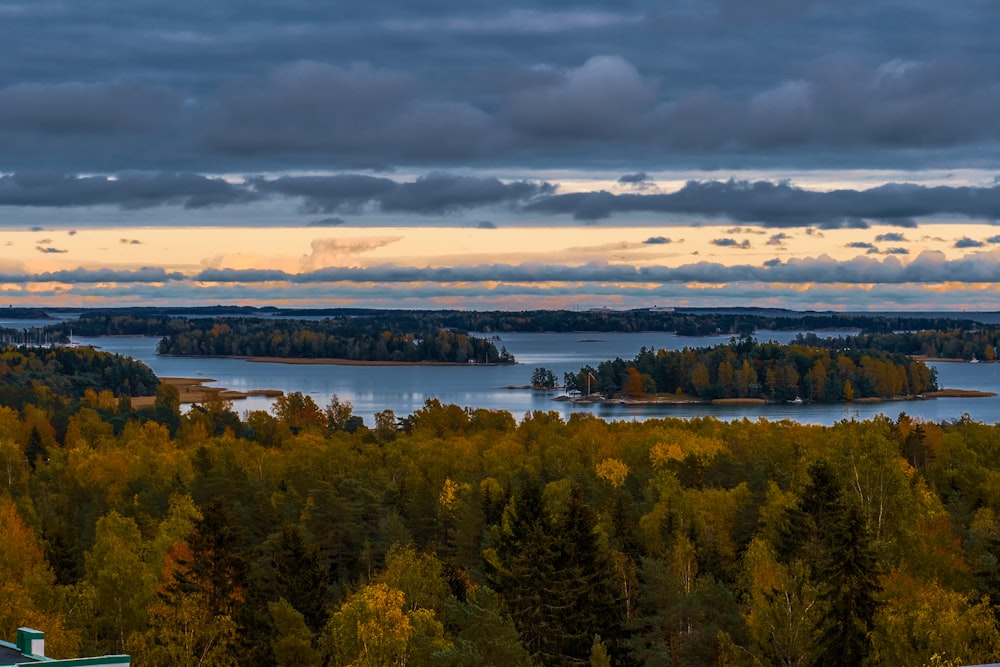 green trees near body of water under cloudy sky during daytime