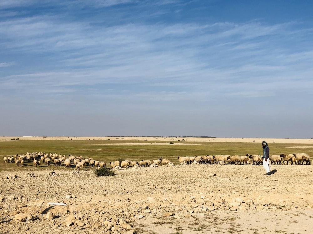 person in white shirt walking on brown sand under blue sky during daytime