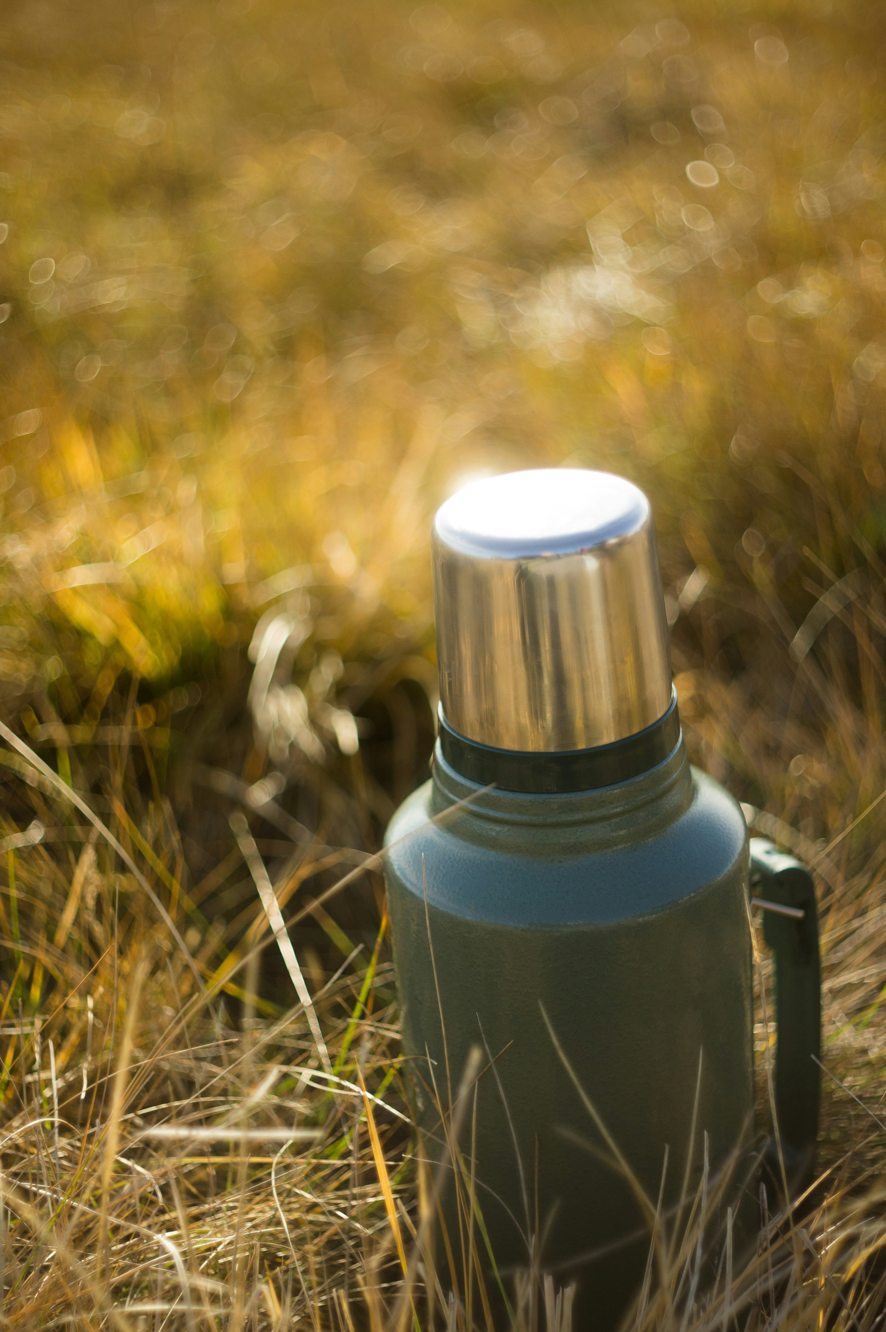 photo 1592985666073 8ef9f517e6ac?ixlib=rb 4.0