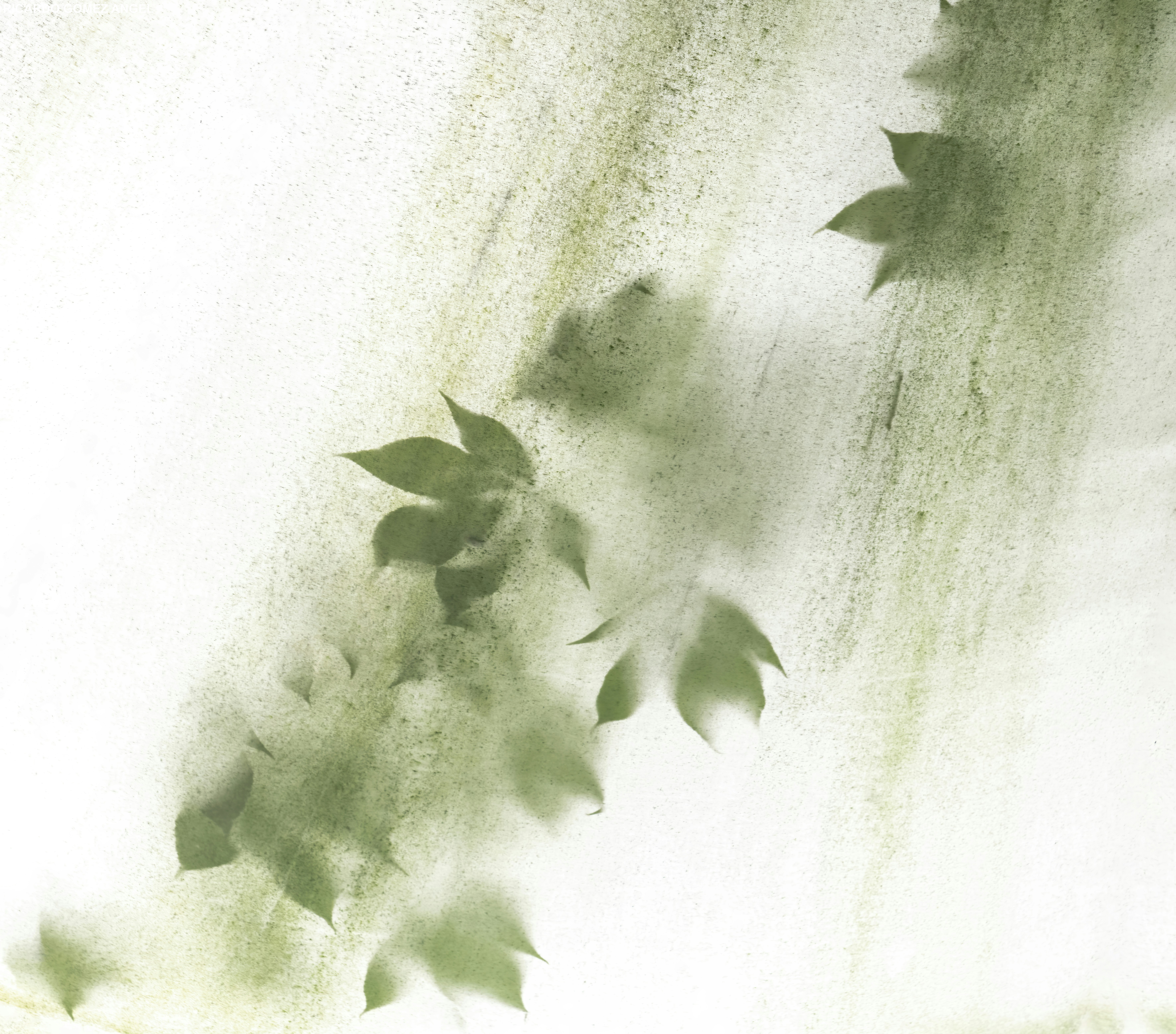 ALLPAYCOIN header image