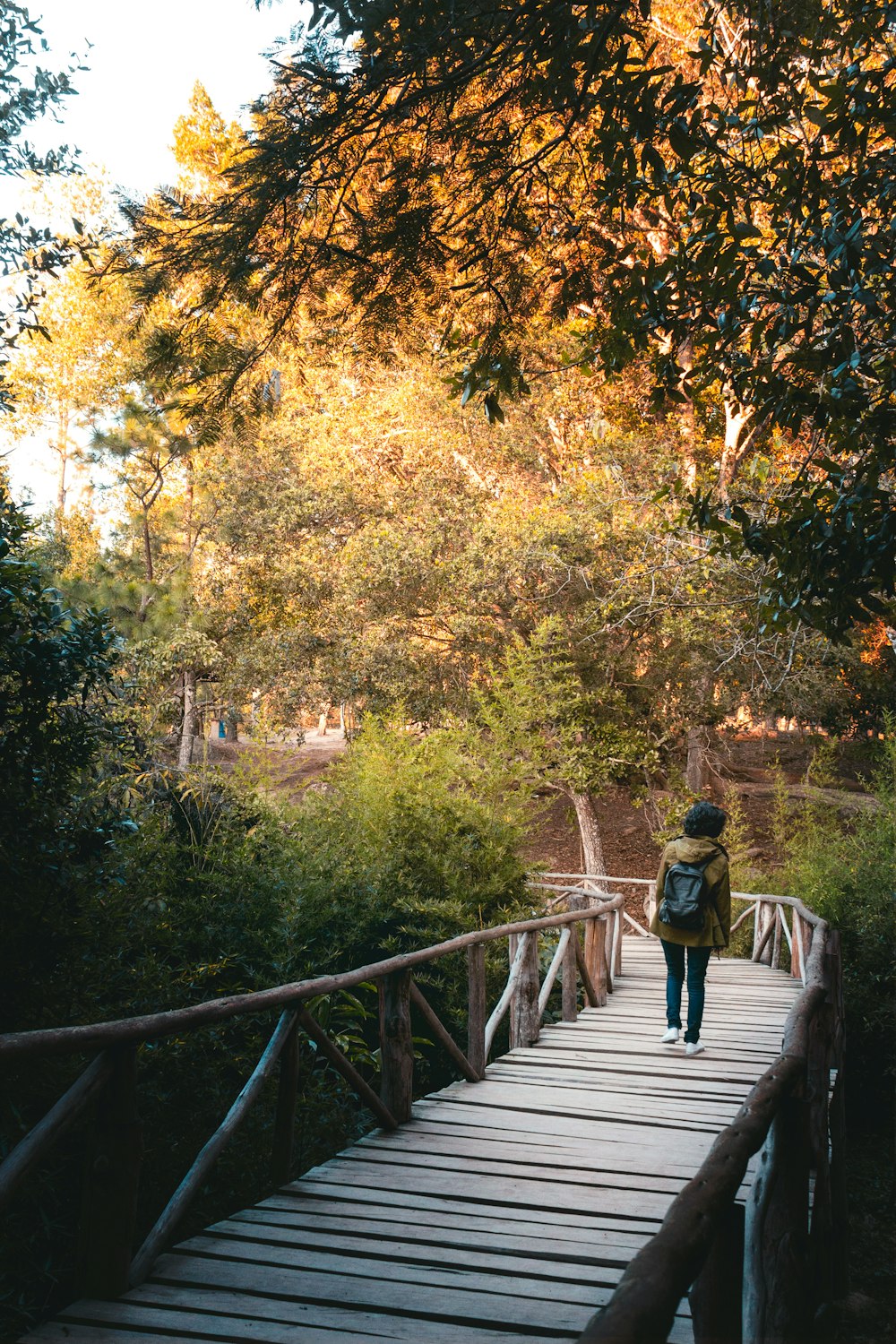 man in green jacket walking on wooden bridge surrounded by trees during daytime