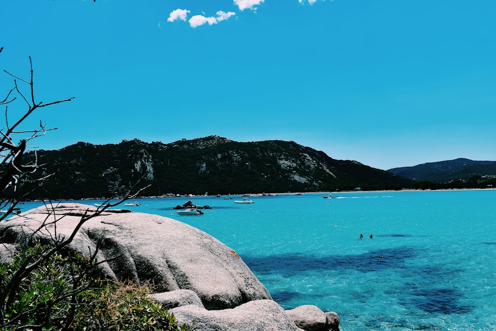 green grass on seashore near mountain under blue sky during daytime