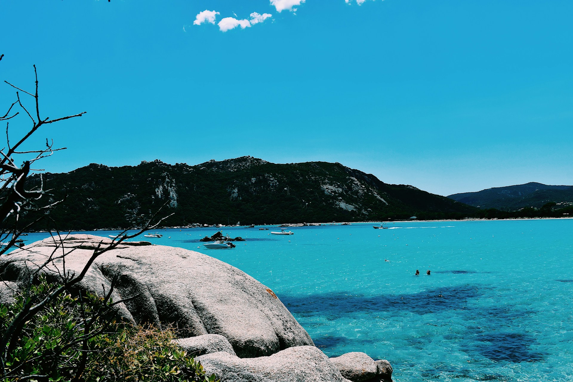 green grass on seashore near mountain under blue sky during daytime