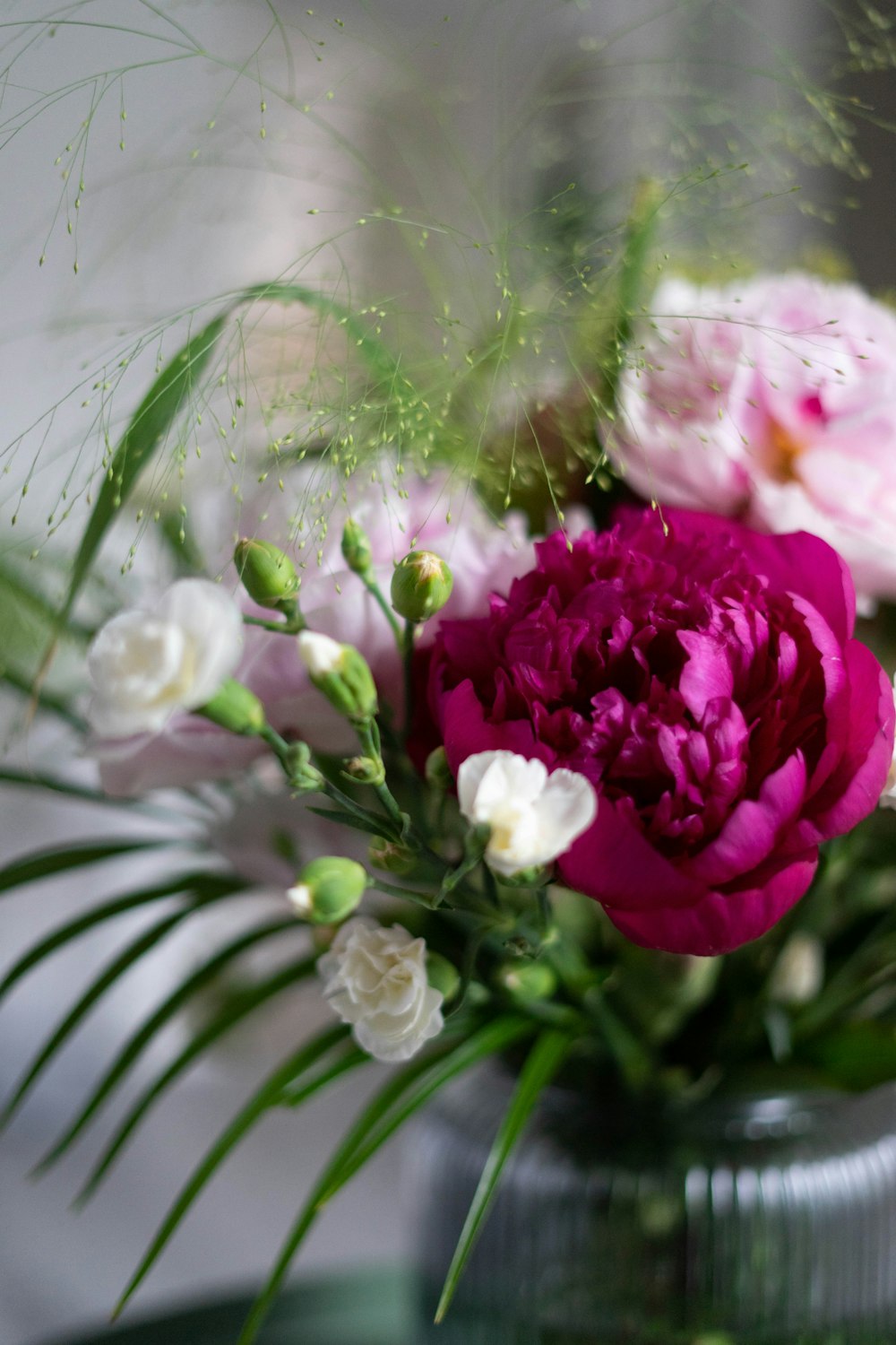 pink roses in bloom during daytime