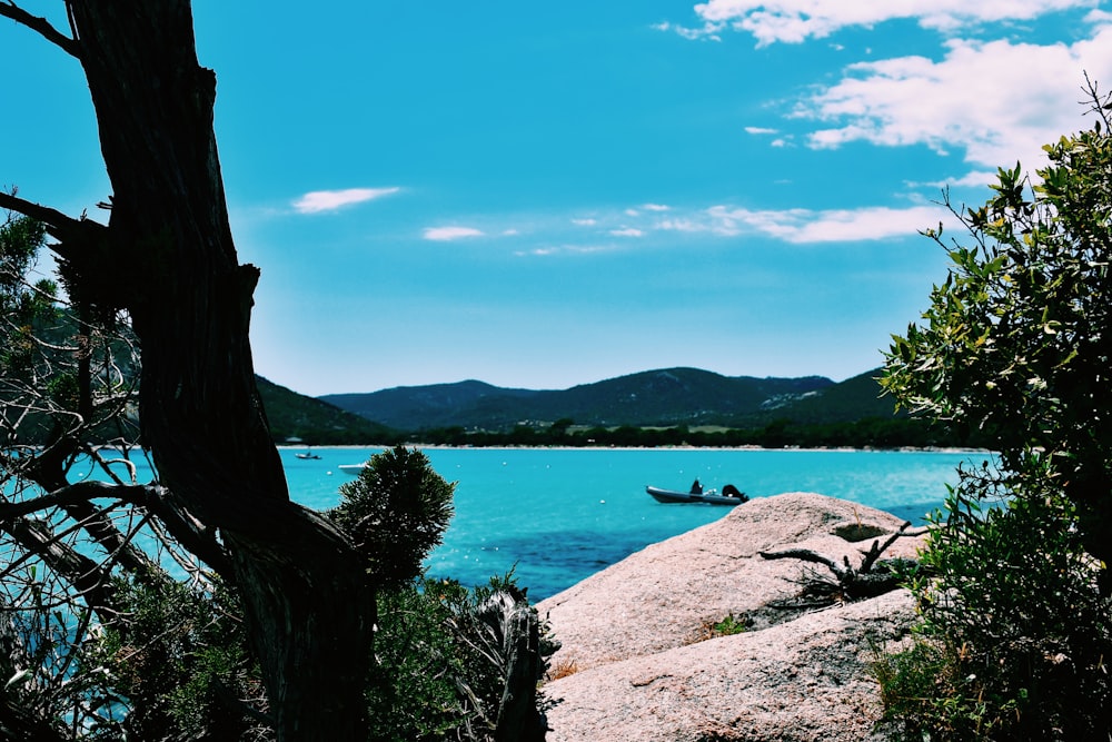 person sitting on rock near body of water during daytime