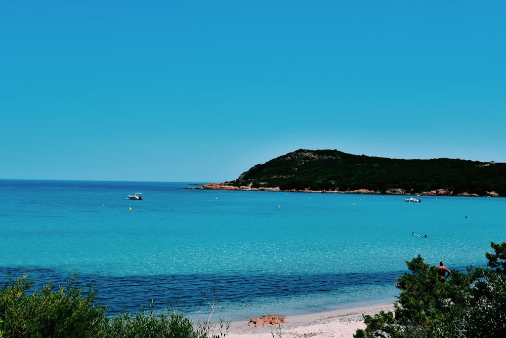 people on beach during daytime