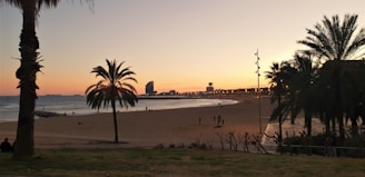 people on beach during sunset