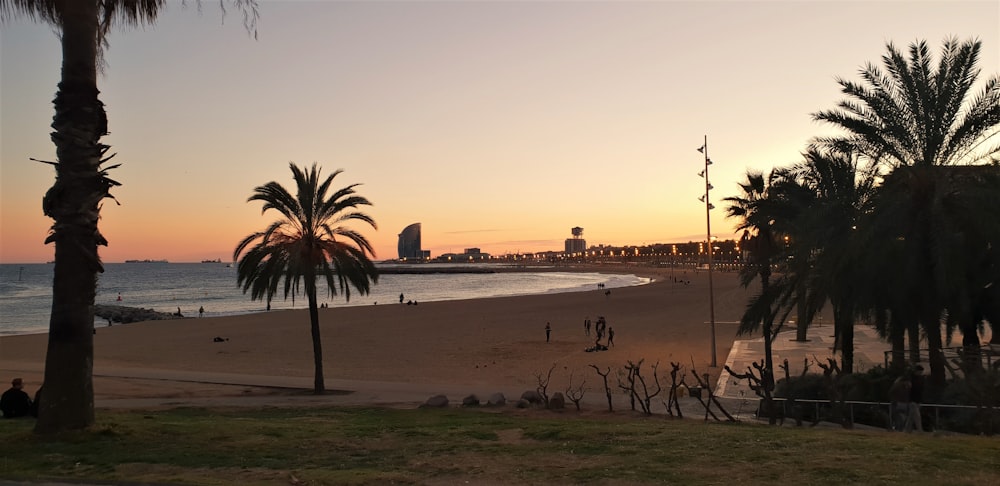 people on beach during sunset