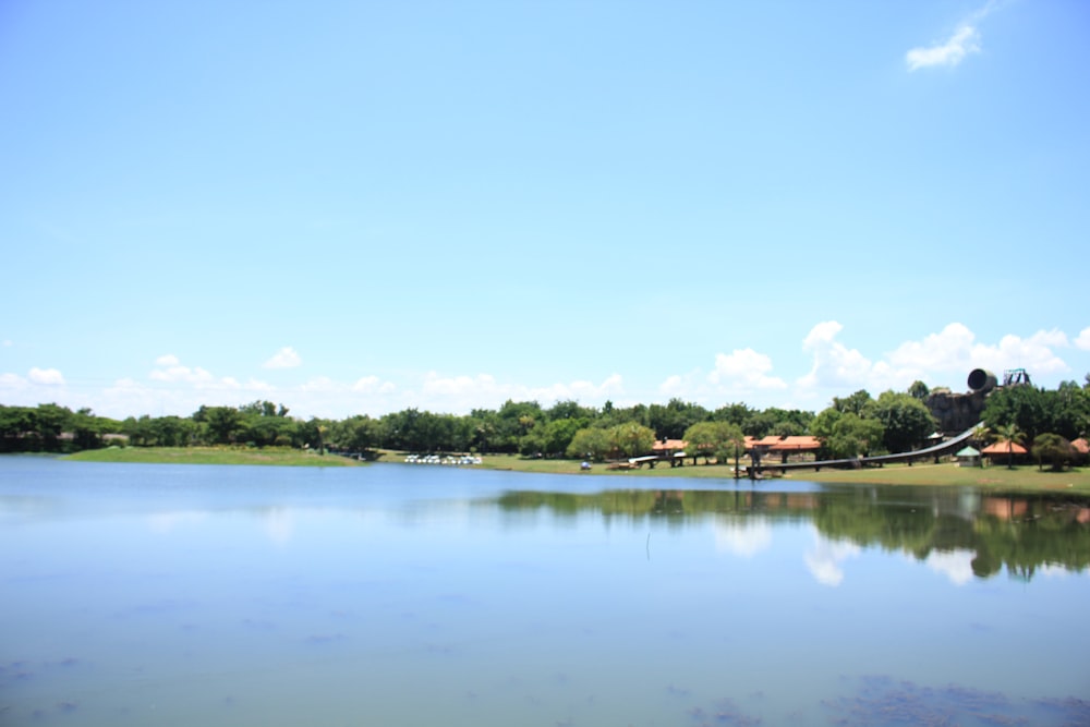 green trees near body of water during daytime