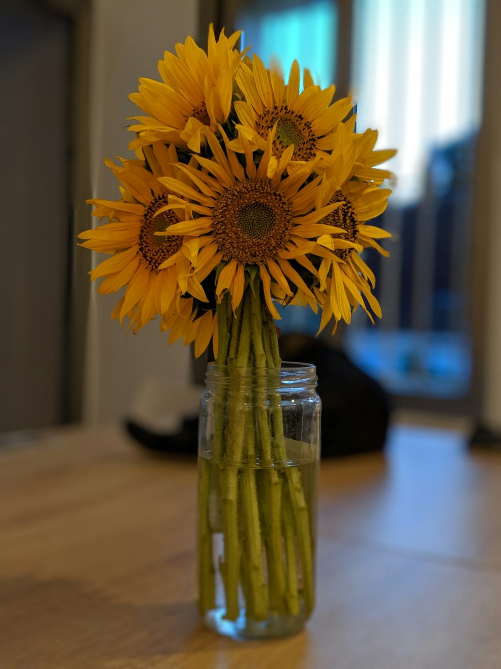 yellow sunflower in clear glass vase