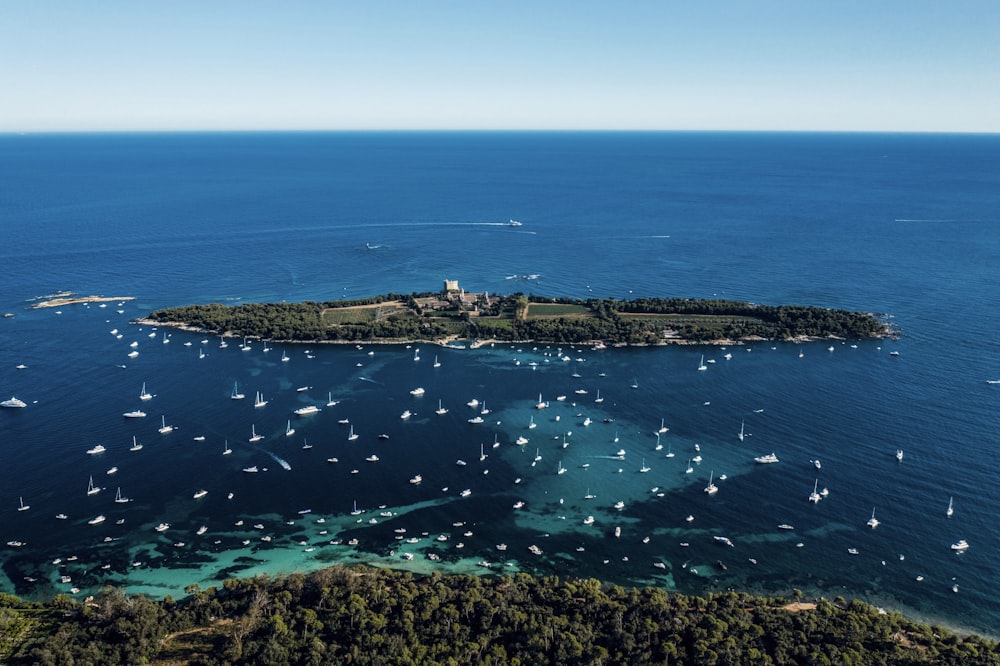 aerial view of green and brown island during daytime