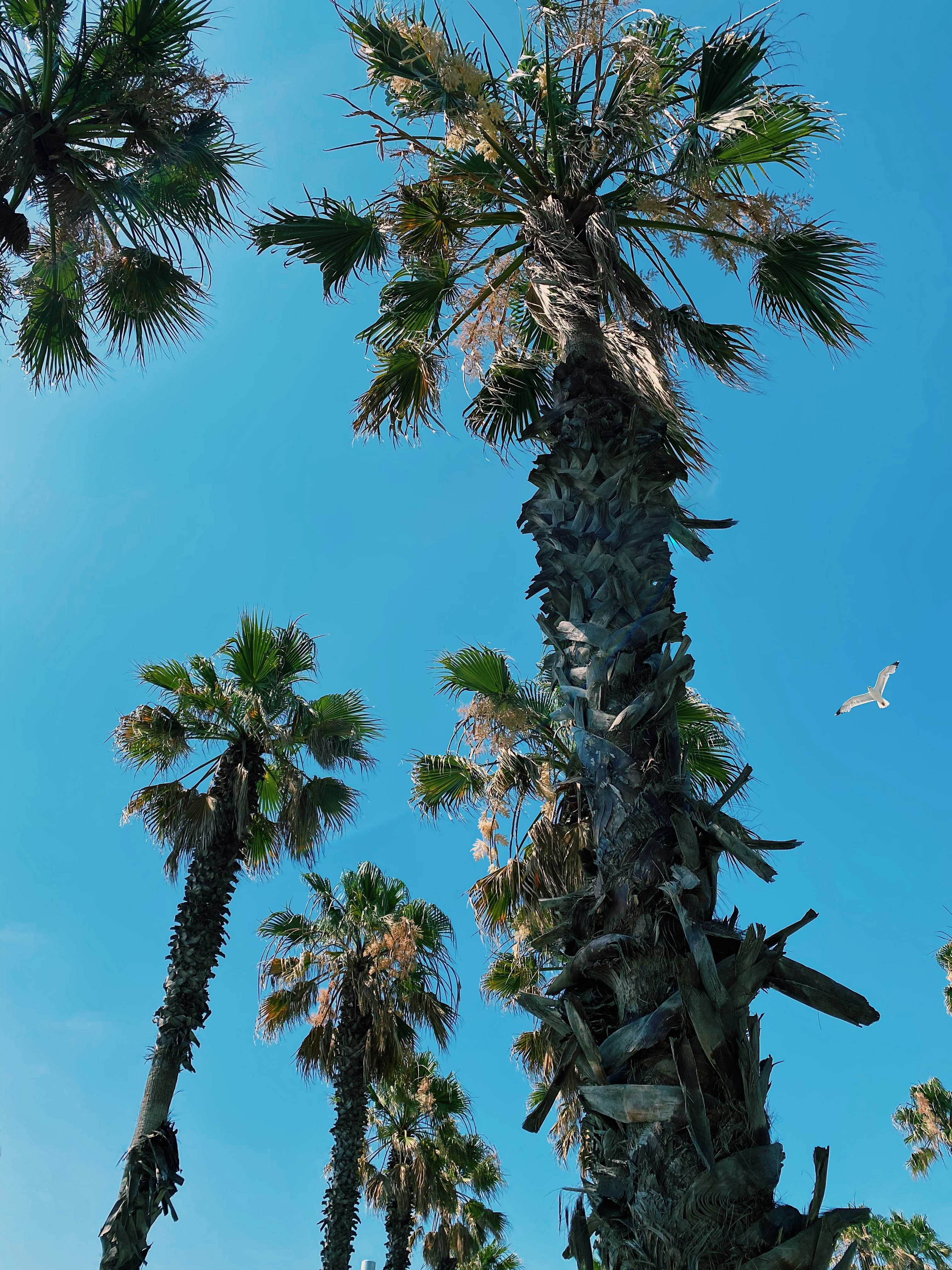 Photo by paulacrespos14