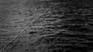 Close-up of a sleek high-carbon fishing rod resting on a wooden dock by the water.