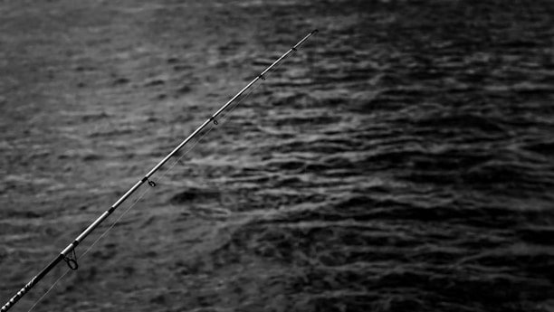 Close-up of a sleek high-carbon fishing rod resting on a wooden dock by the water.