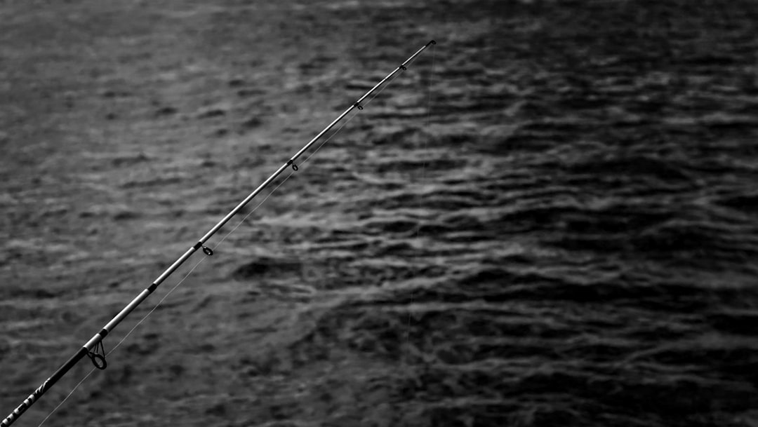 black fishing rod on sea