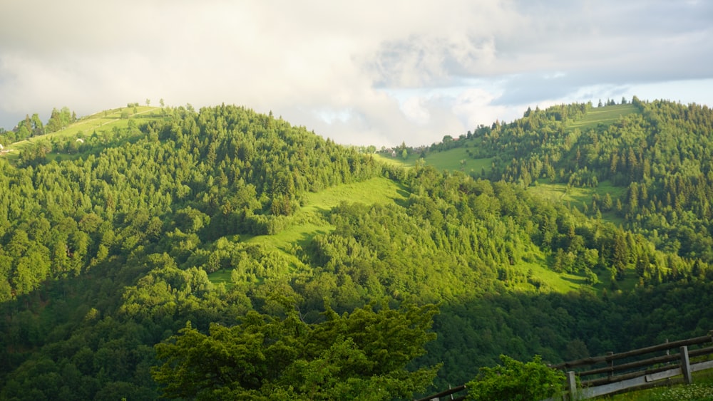 green trees on mountain under white clouds during daytime