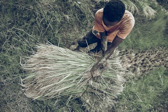 man in orange t-shirt and black pants holding brown stick in Antananarivo Madagascar