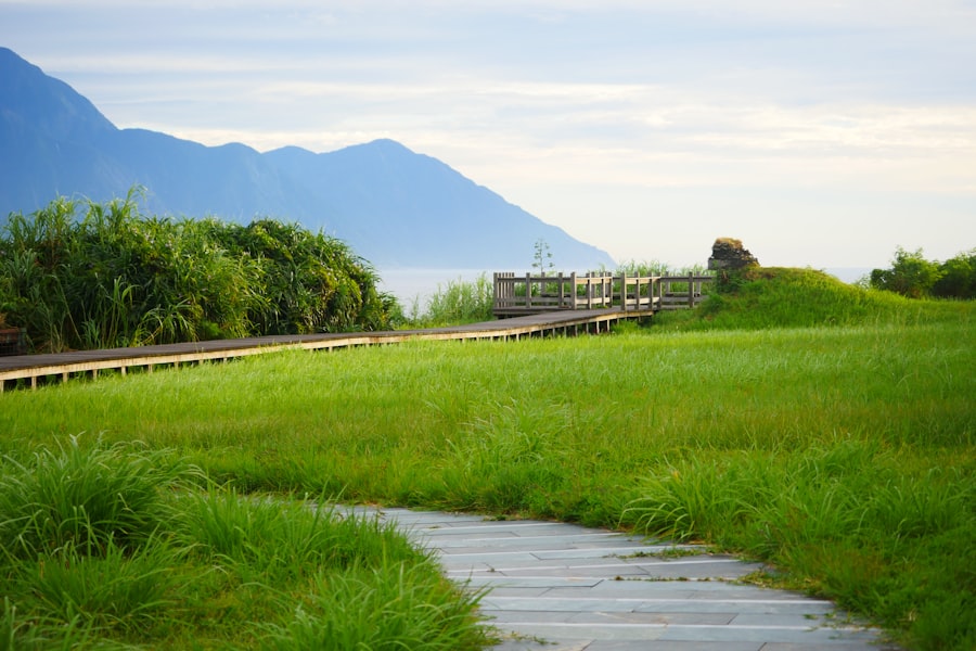 Pilgrims walking along a rural road through rice paddies in central Taiwan