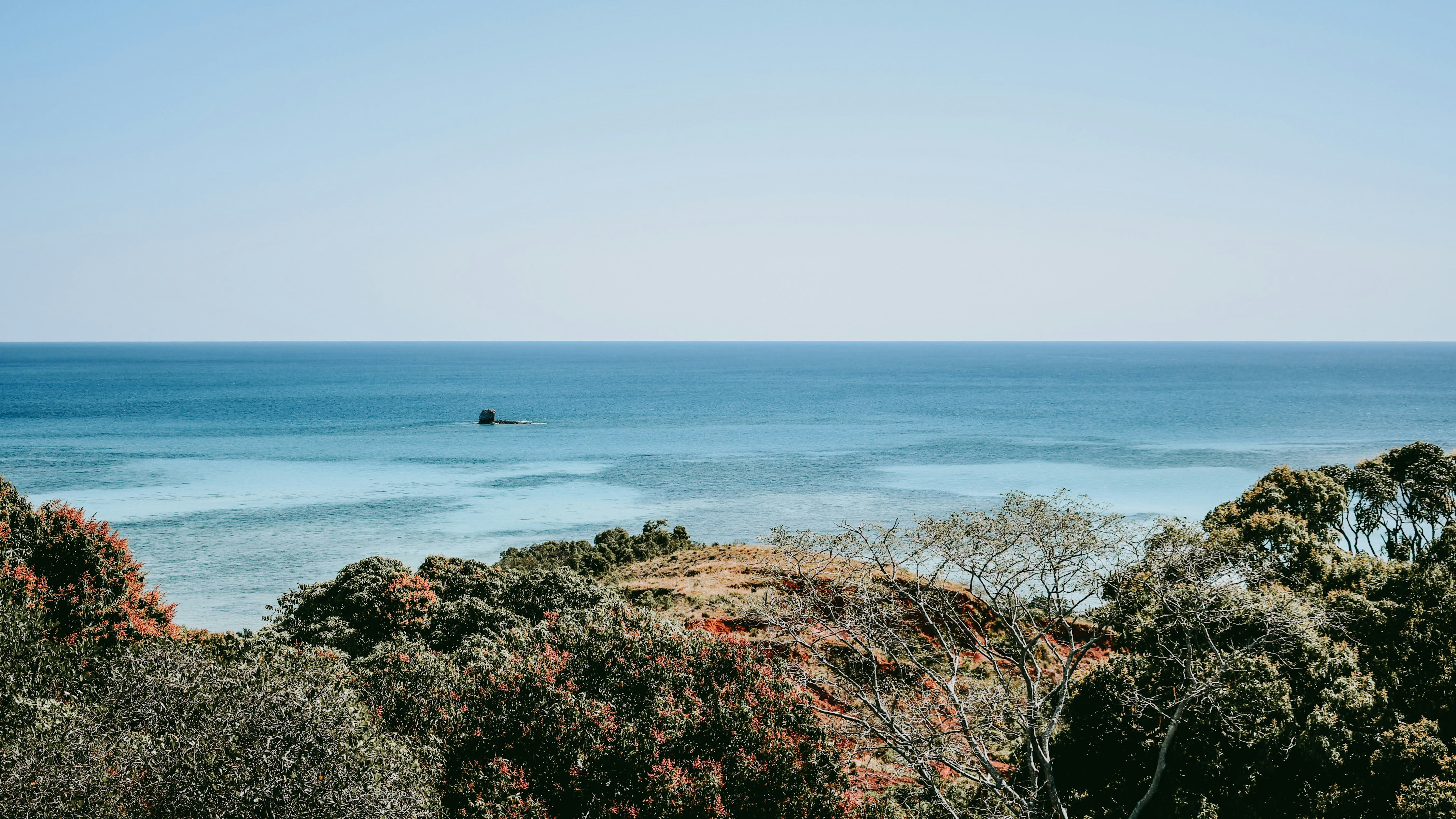 Fouineuse Definition De Fouineuse Dictionnaire La Langue Francaise