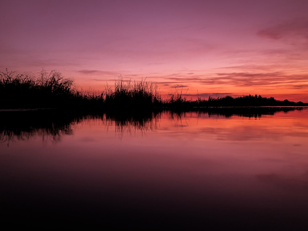 silhouette of trees near body of water during sunset