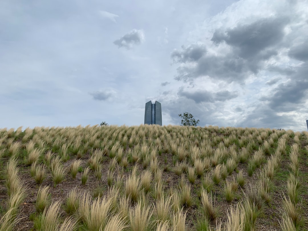 travelers stories about Plain in Upper Park, United States