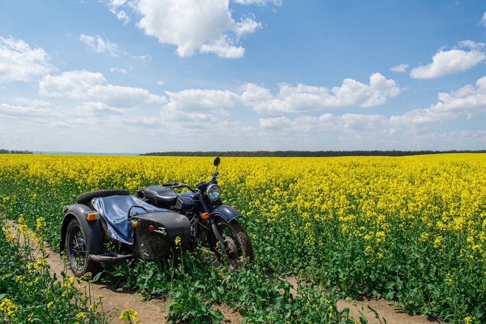 black motorcycle on yellow flower field under blue and white sunny cloudy sky during daytime