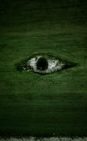green grass field with water