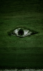 green grass field with water